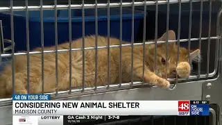 Madison Co. leaders considering new animal shelter to manage overcrowding issues