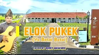 Elok Pukek (Yo Botoi Botoi) - Lagu Bengkulu Viral ! Cover by Bobby Mawardi 