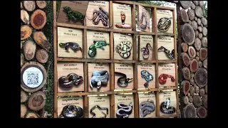 Amazing Snake Collection  in Mysore Zoo, full video, Mysore Tourism