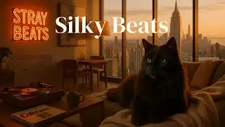 Silky Sunday Beats✨ | Jazz Lo-fi & Jazzhop Mix🌸