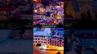 Myat ka sath janay wali 3 chezain  | The Sunnah Way  #urdu #sunnah #qurantilawat #sunnat