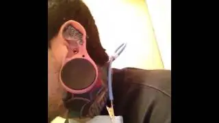 Labret Scalpel at 00g (I am a Professional, do not try this