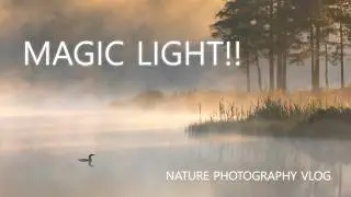 Relaxing Nature Photography Vlog | Swedish Summer Night, Noctilucent Clouds, Misty Sunrise and Birds