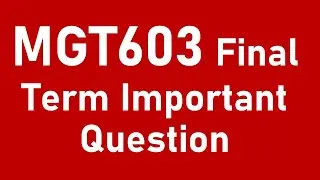 MGT603 Final Term Important Questions