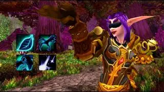 WOTLK Druida pvp arenas 2vs2 y 3vs3 MATCH !