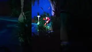 The Little Mermaid Part 2 #disney #californiaadventure #themepark