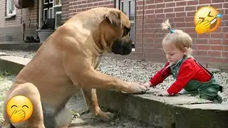 Dog Can&rsquo;t Control His Emotions At First Time Seeing His Baby Sister 😭
