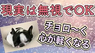 【潜在意識が変わる】心が疲れていても、カンタンに願いは叶う。現実は関係ありません。
