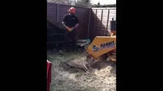 Stump Grinding Old Windsor
