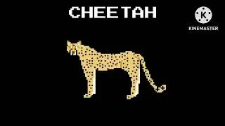 big cats 4hs