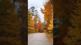 Hop In! A Beautiful Drive Through Fall Foliage in Minnesota 🍁