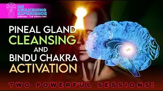 Unlock the Hidden Secrets of the Pineal Gland and Bindu Chakra &ndash; Transform Your Spiritual Journey!