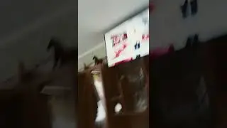 Телевизор UD