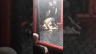 MMA EFC 6