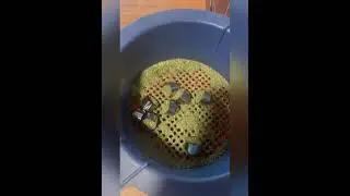 Cleaning Suppressor Baffles