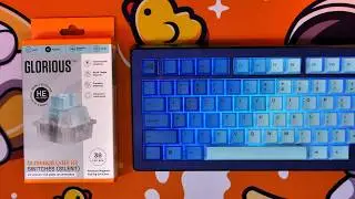 Silencing the Glorious GMMK 3 Pro HE Lynx HE vs Lynx HE Silent switches