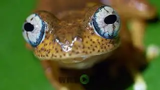 EYE TIME