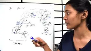 #WhiteboardWednesday: How a Mesh Network is Formed
