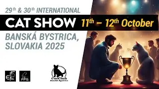 29. a 30. MEDZINARODNÁ VÝSTAVA MAČIEK - Banská Bystrica 2025