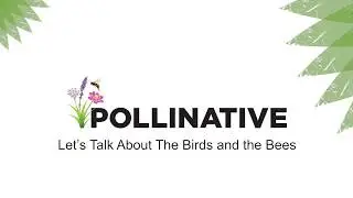 Pollinative - Let's Talk About the Birds and the Bees