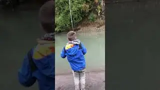 Carbon River Silvers