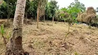 FARM #2