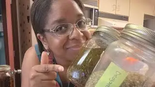 Oregano Oil The Antibiotic Big Pharma Doesn't Want You Knowing