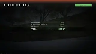 Saving our teammate in DMZ