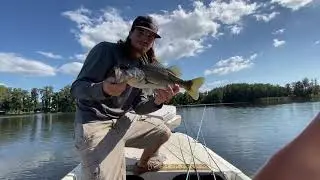 Post spawn bass fishing