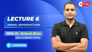 Animal Reproduction | By Dr. Ankesh Bisla | Complete Lecture 6