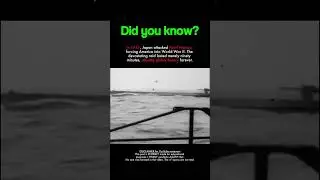 Pearl Harbor: Ninety Minutes That Changed History 💣