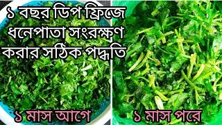 রং ও গন্ধ ঠিক রেখে সারা বছরের জন্য ধনেপাতা সংরক্ষণ | Dhone Pata shongrokhon | ধনে পাতা সংরক্ষণ