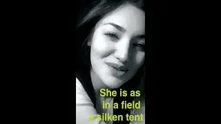 She is as in a field a silken tent | world's greatest love poems | the most beautiful girl #nelya