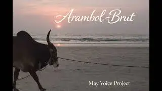 Arambol-Brut@May Voice Project 