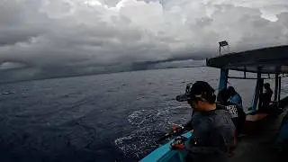 Extreme Weather, Extreme Fish: Our Palawan Storm Challenge 2025!