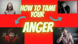 How to control your anger Bible Advise