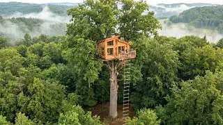 Alone in the Forest - This Man Built a Tree House Above Everything in the Forest (ASMR)