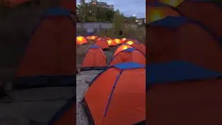 Фестивал 