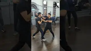 Wing Chun chi Sau - keep it real #chisau #wingchuntechniques #martialarts