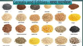 Cereals and Edibles Vocabulary