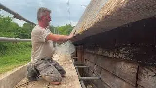 Thatching in East Anglia