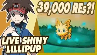 INSANE SHINY LILLIPUP after 39051 REs! 4x OVER FULL ODDS (Pokemon White 2 Live)
