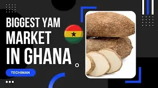 A Visit to Biggest Yam Market in Ghana, Techiman Yam Market