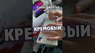 Где самый кремовый тайпинг? Cidoo QK61 v2, CyberLynx RX75 PRO, Epomaker TH99, EA75, Royal Kludge l75