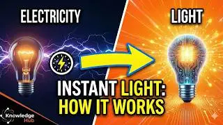 How Light Bulbs Turn Electricity into Light in Milliseconds