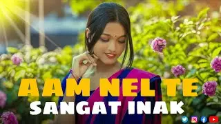 AAM NEL TE || NEW SANTALI SONG || AI SONG ||#Video