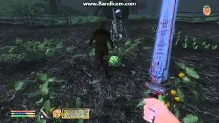 TES:IV Oblivion Odiil Farm vermin extermination