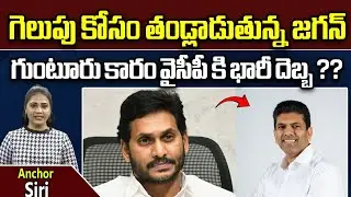 Guntur Lok Sabha Elections 2024 || TDP Pemmasani Chandrasekhar || CM Jagan || Wild Wolf Vijayawada