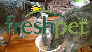 Freshpet Vital Cat Food Review