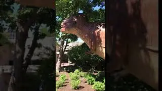 2019 07 Moving Dinosaur in National Zoo 01